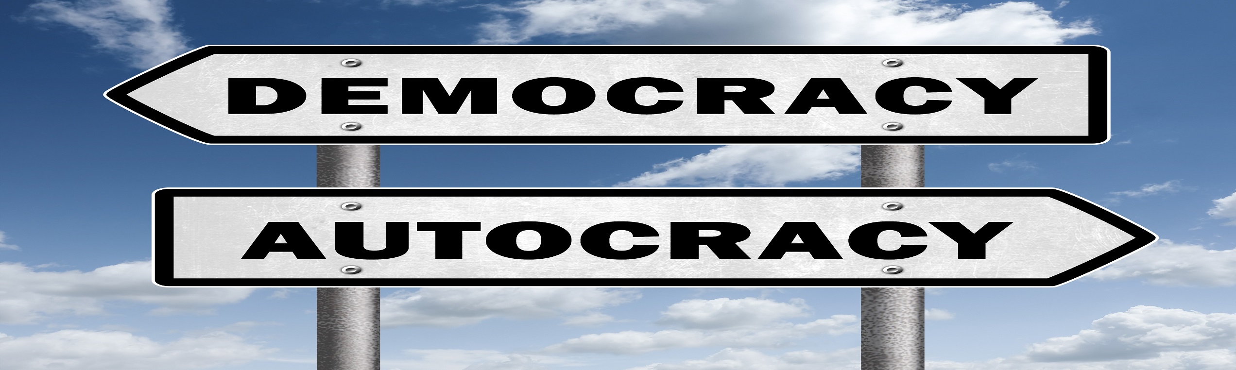 Debate: Why Democracies Survive